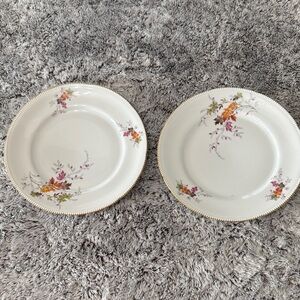 Winterling Bovaria Germany Autumn Leaves Set of 2 10.5" Dinner Plates Gold Trim